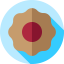 Biscuit icon 64x64