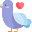 Pigeon icon 64x64