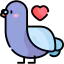 Pigeon icon 64x64