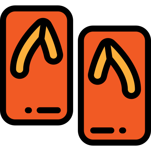 Flip flops icon