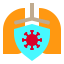 Lungs icon 64x64