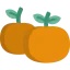 Tangerine icon 64x64