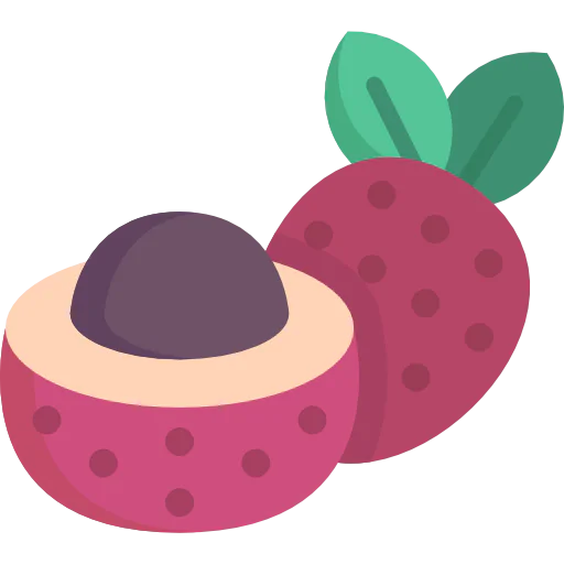 Lychee icon