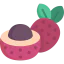 Lychee icon 64x64