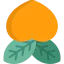 Plum icon 64x64