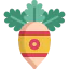 Radish icon 64x64