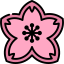 Sakura アイコン 64x64