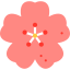 Cherry blossom icon 64x64