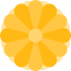 Kamon 图标 64x64