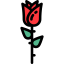 Rose icon 64x64