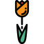 Tulip icon 64x64