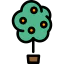 Lemon tree icon 64x64