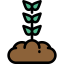 Sprout icon 64x64
