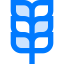 Wheat icon 64x64