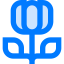 Tulip icon 64x64