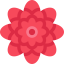 Dalia icon 64x64