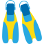 Flipper Symbol 64x64