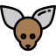 Chihuahua icon 64x64