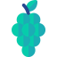 Grapes icon 64x64