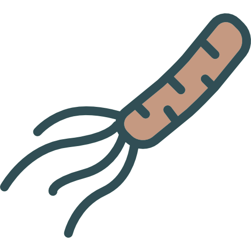 Bacteria icon