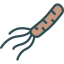 Bacteria icon 64x64