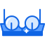 Brassiere icon 64x64