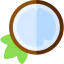 Coconut icon 64x64