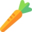 Carrot icon 64x64