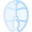 Fish icon 64x64