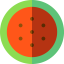 Watermelon icon 64x64