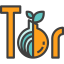 Tor icon 64x64