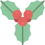 Mistletoe icon 64x64