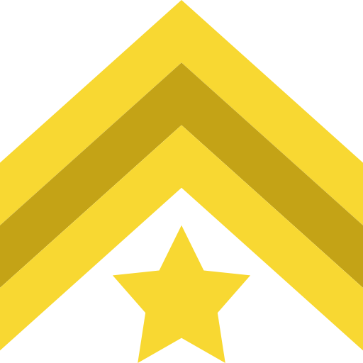 Chevron icon