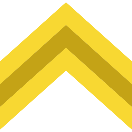 Chevron icon