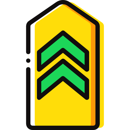 Chevron icon