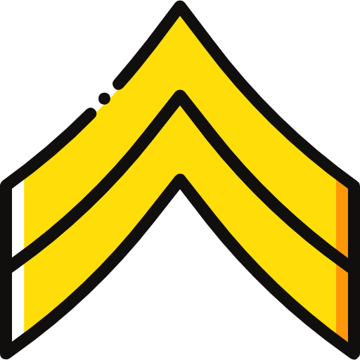 Chevron icon