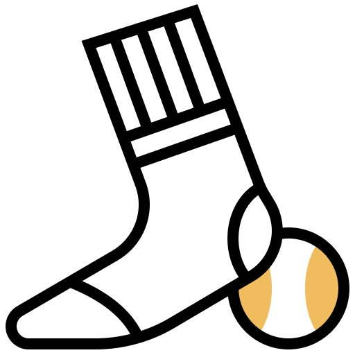 Socks icon