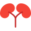 Kidneys Symbol 64x64