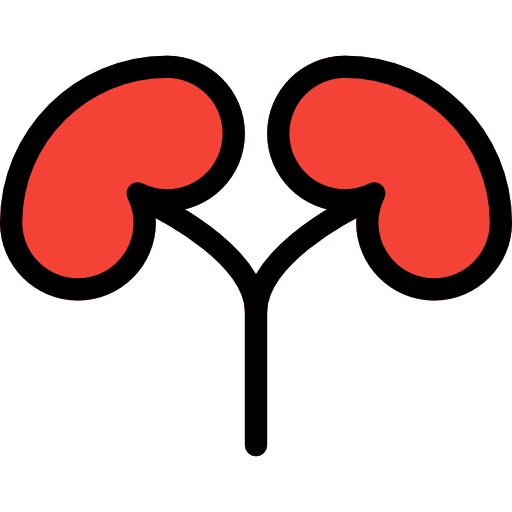 Kidneys icon