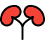 Kidneys Symbol 64x64