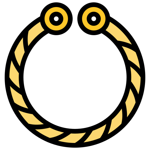 Bracelet icon