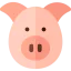 Pig icon 64x64