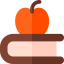 Book icon 64x64