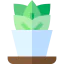 Flower icon 64x64