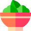 Salad icon 64x64