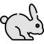 Rabbit icon 64x64