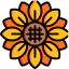 Sunflower icon 64x64