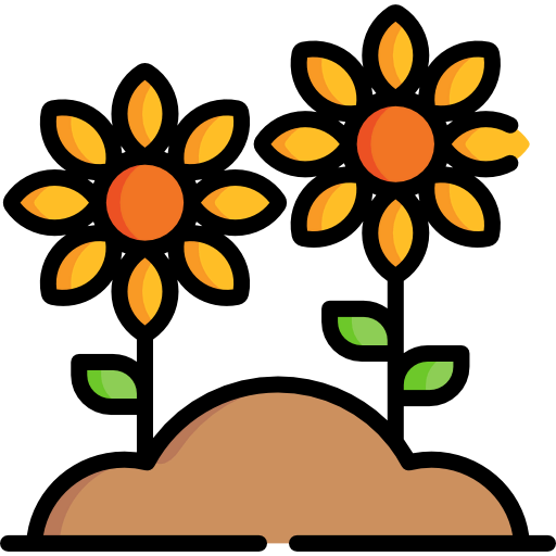 Sunflower icon