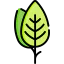 Leaf icon 64x64