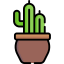 Cactus icon 64x64